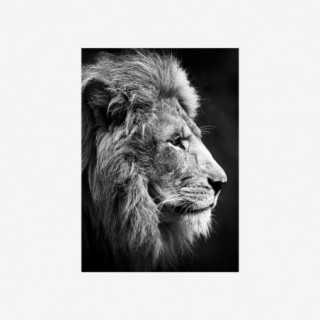 Vue de face de la toile noir et blanc LION