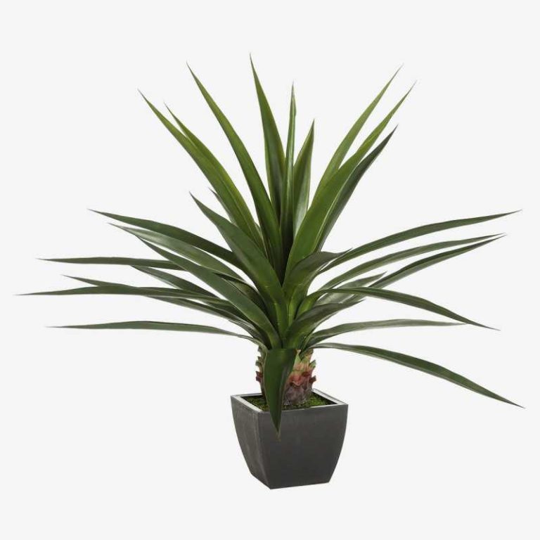 Plante artificielle - AGAVE