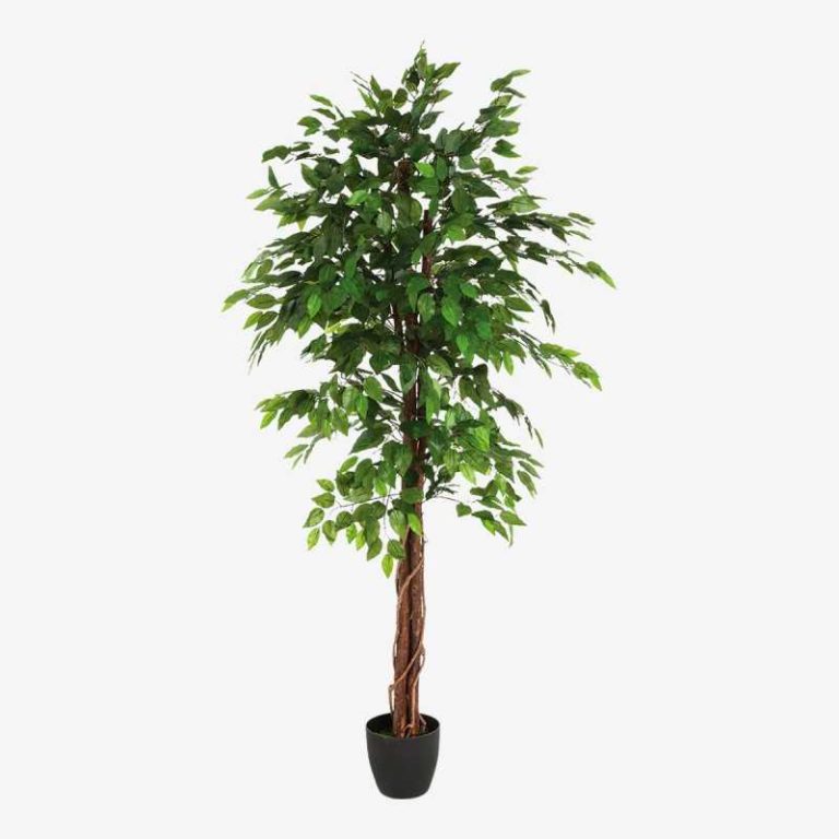 Ficus Plante Artificielle