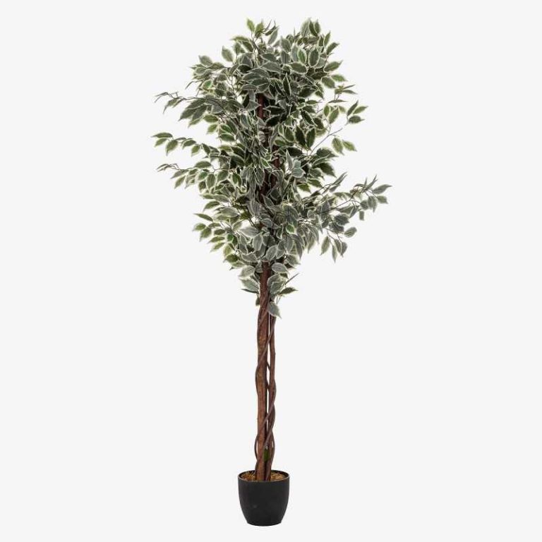 Plante artificielle 70x180 cm - FICUS