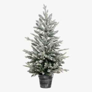 Poussiere D Etoiles Sapin Frosty En Pot
