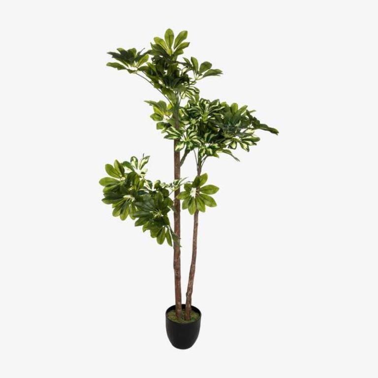 Plante artificielle 70x135 cm - SCHEFFLERA